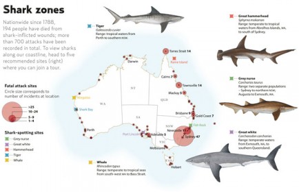 Shark attack zones australia